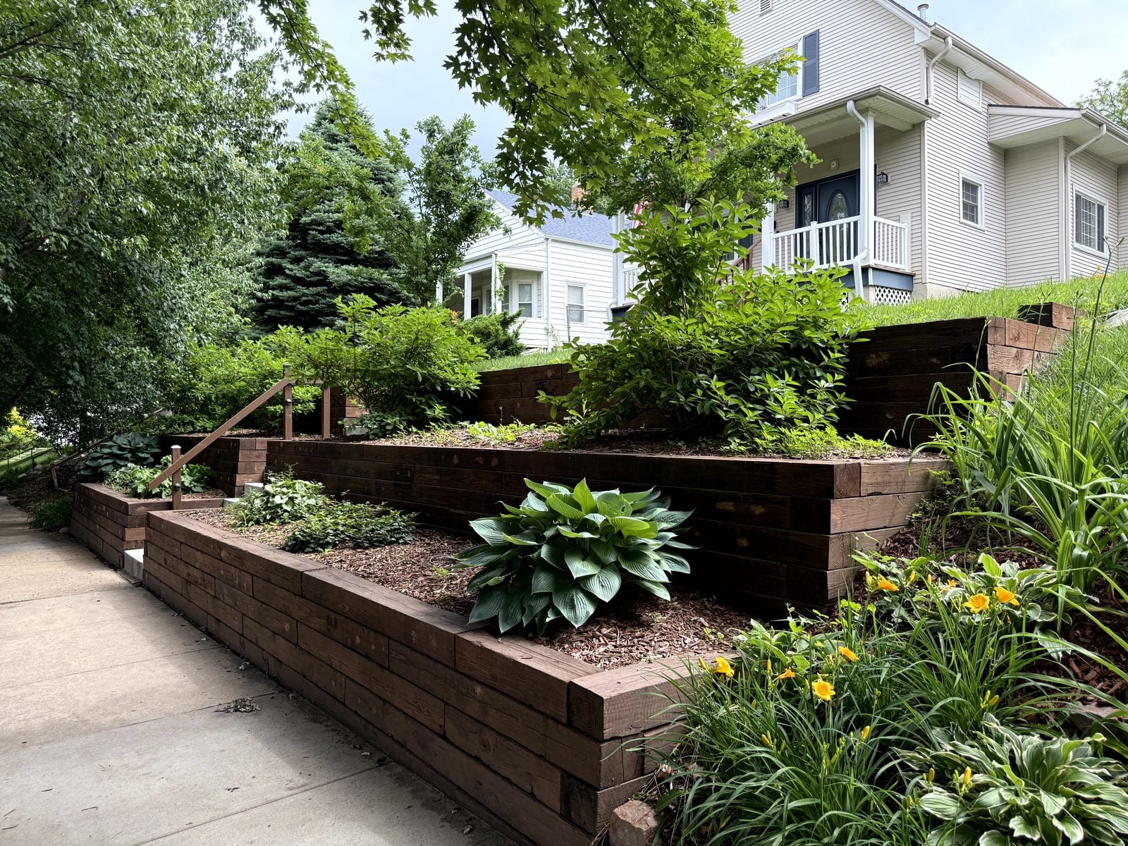 Terraced timber walls with hostas